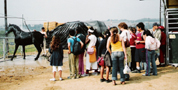 Feria del caballo